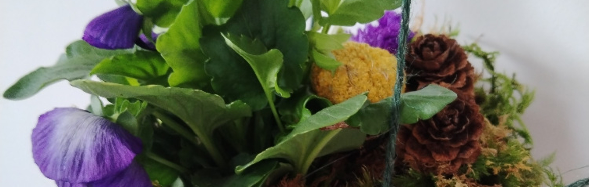 Kokedema Moss Ball Workshop (part of Harvest Fest)