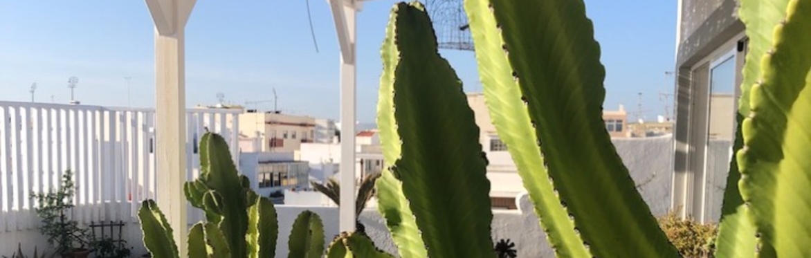 A rooftop In olhao