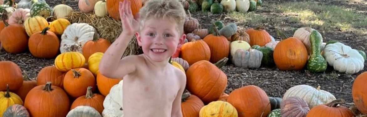 Pumpkin Patch at Sunset Trail Farm