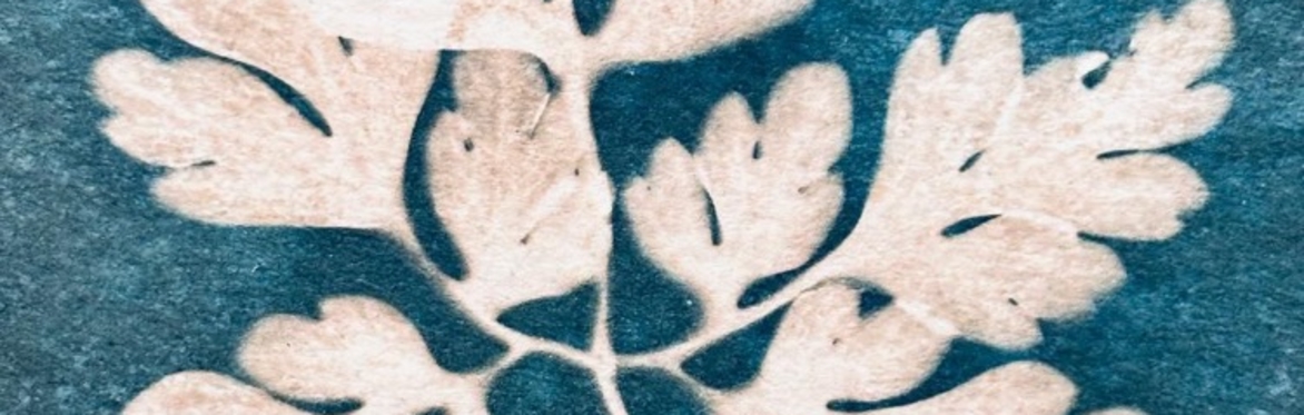 Cyanotype print