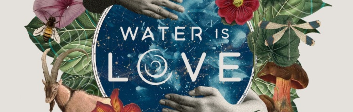 Film screening "Water is LOVE"