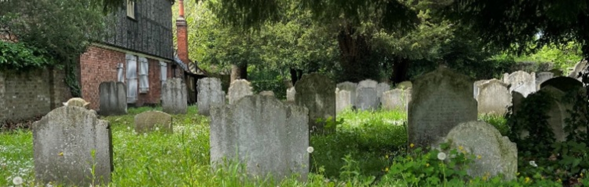 An overgrown graveyard with weathered stones and long grass