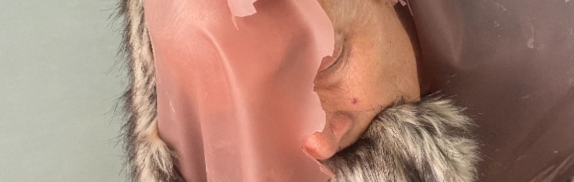 SKINNED/MATERIAL by Emilyn Claid in collaboration with Heidi Rustgaard and Florence Peake