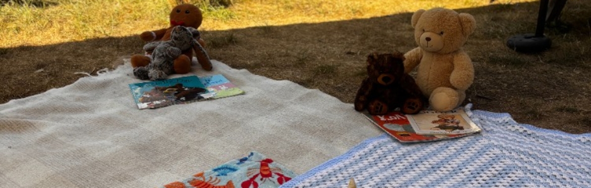 Teddy bears picnic