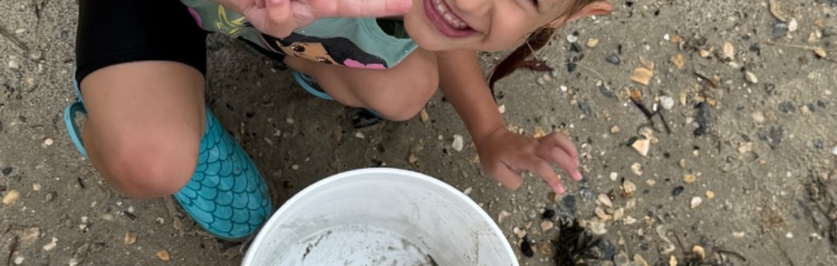 Explore the Shore (ages 3-9)