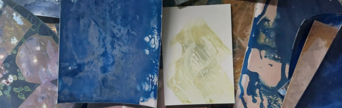 T05. The Surprising Beauty of Combining Cyanotype and Lumen with Henri Blommers