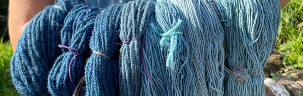 Indigo Workshop