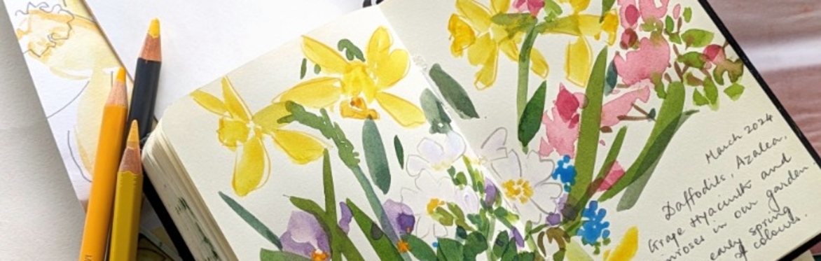 Nature Journaling Workshop: Deepening Connection Through Observation