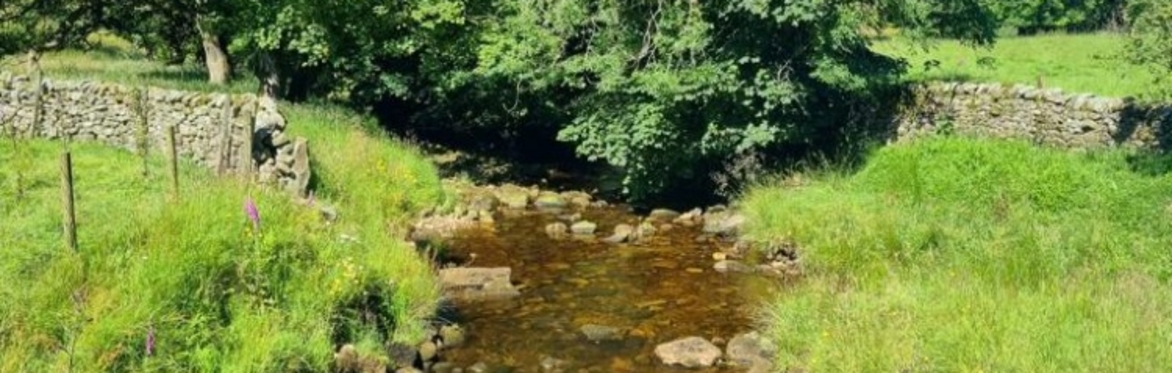 The Abbeystead Two Rivers  Super- Legstretcher