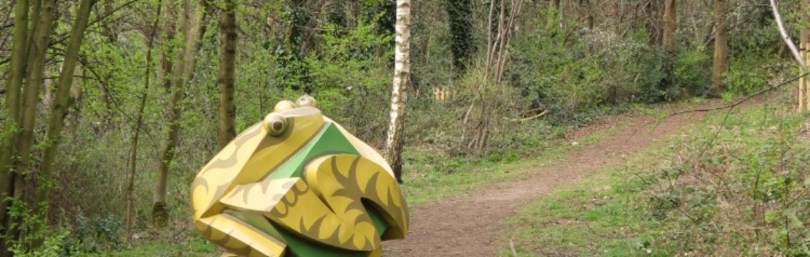 Sunnybank Nature Reserve - Frog sculpture - photo credit Sarah Sidgwick