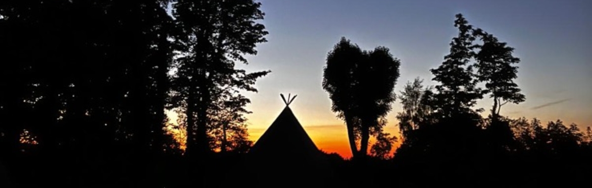 Sunset in Halkyn Castle Wood