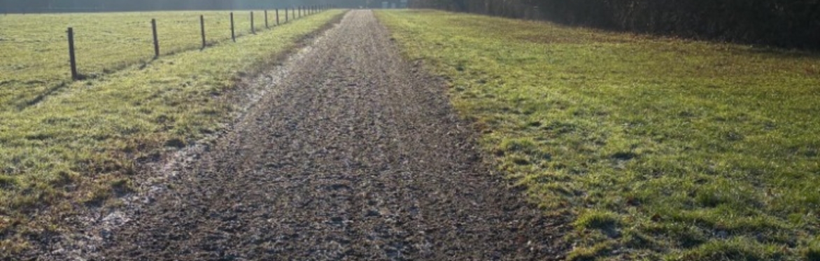 Equestrian gallops