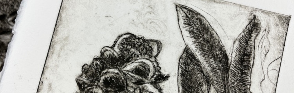 Drypoint |  Raw marks, rich prints