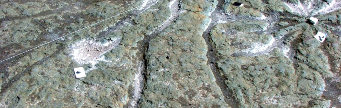 Two of Earth’s Earliest Fossil Forests: Gilboa and Cairo with Dr. Chuck Ver Straeten