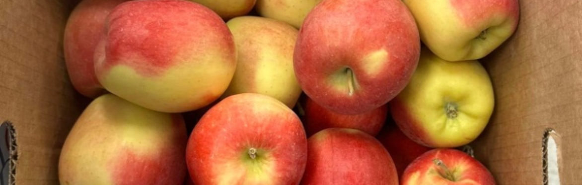 red and green apples