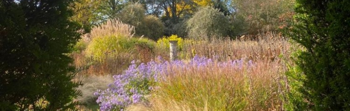 Garden Open Day In Aid Of Macmillan Cancer Support