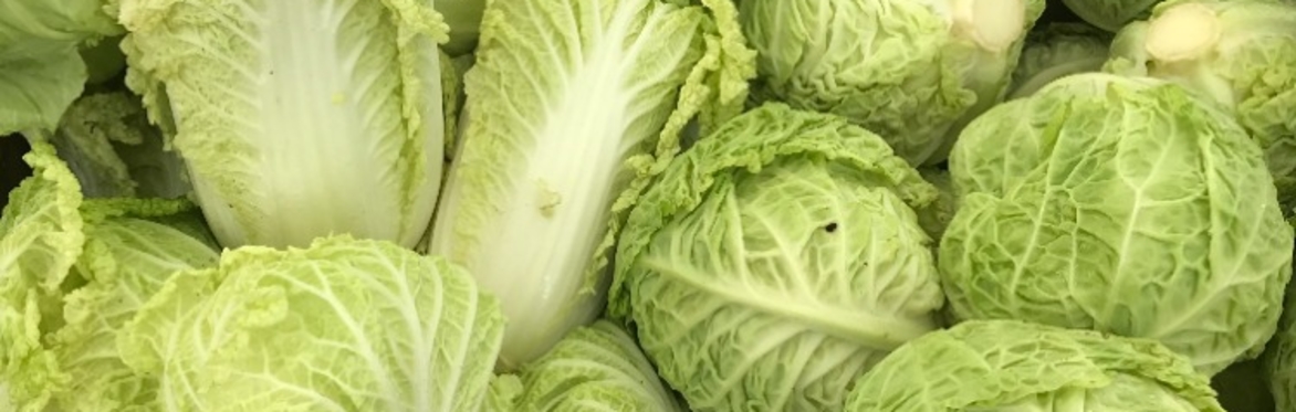 Fermentation: Kimchi, Kraut, & Takuan