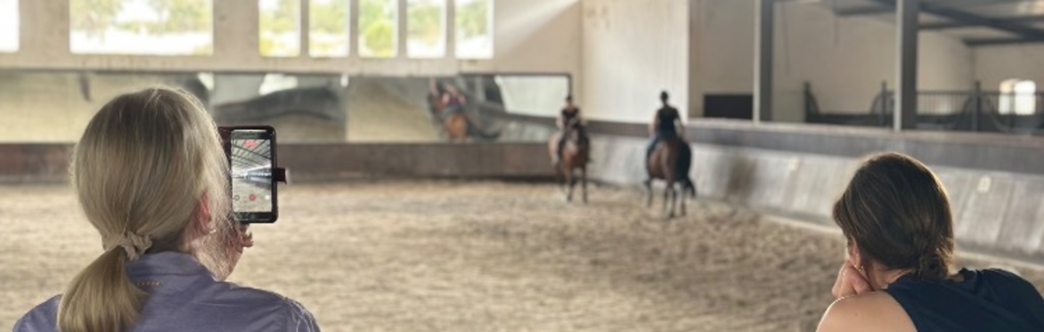 Prestigious Lusitano studfarm visiting