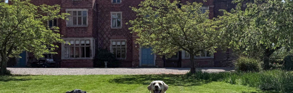 Hodsock Priory Pooch & Family Day
