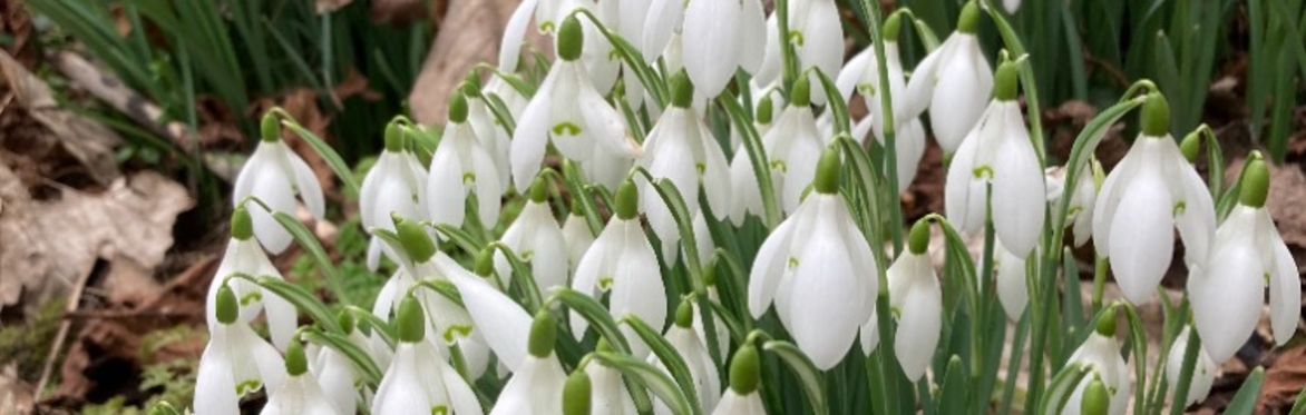 Bloom's Community Choir