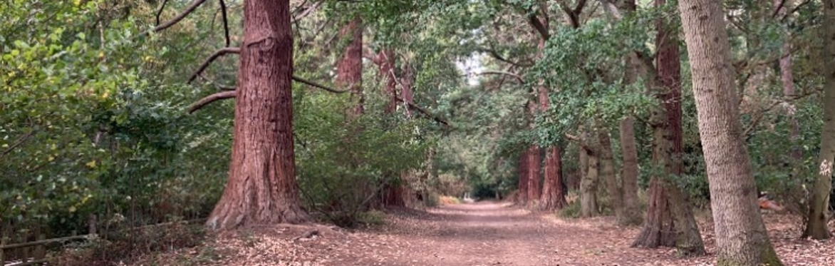October Guided Heritage Walk: Bedfords Park and Havering Country Park