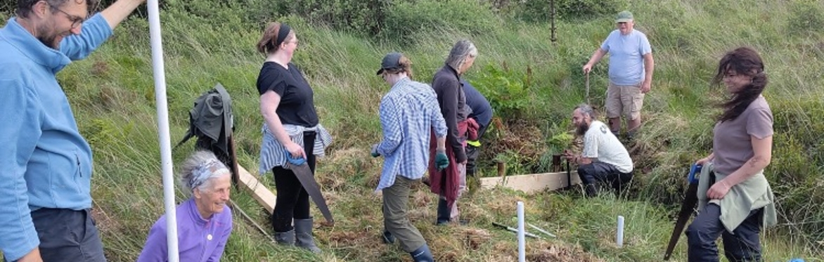 Peatland Restoration - Biochar, Sheep's Wool and Community Engagement