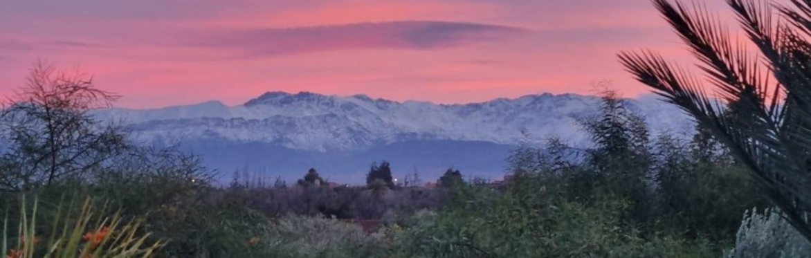 Reset & Renew - New Year Yoga Retreat in Morocco