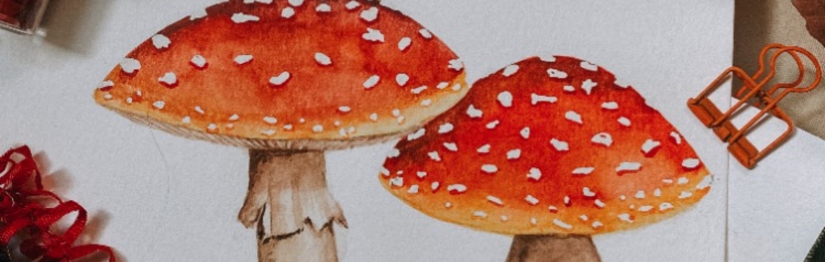 Class | Watercolor Mushrooms with Artist Kristine Toward