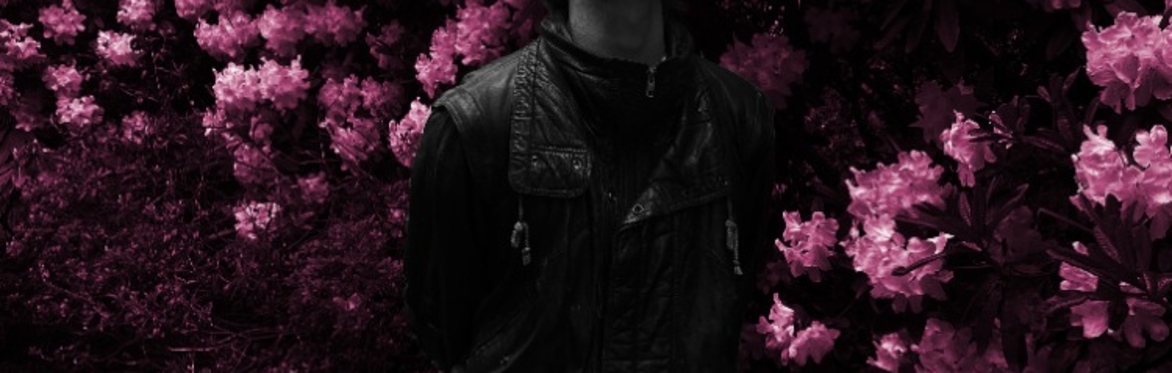 Lay - By Strawberries