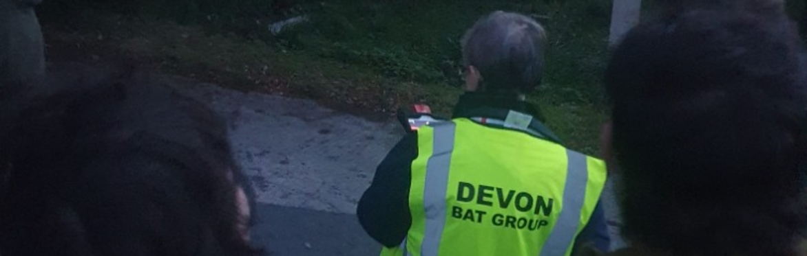 Bat detecting in Central Park