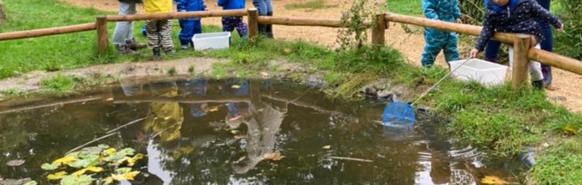 Family Pond Dip and Bug Hunt