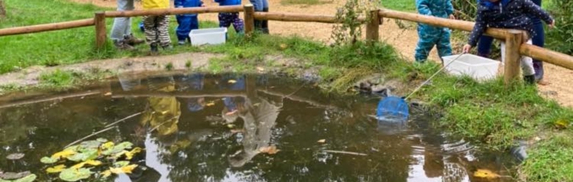 Family Pond Dip and Allotment Explore