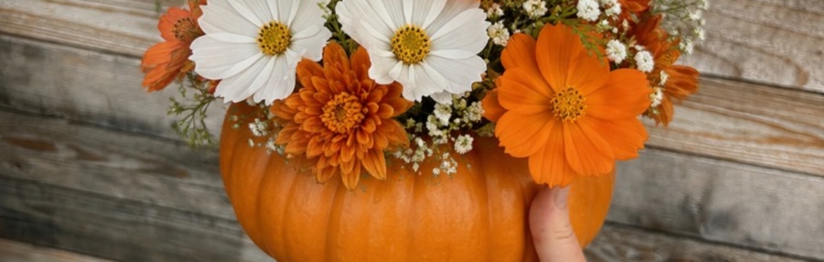 The flower workshop- Pumpkin addition