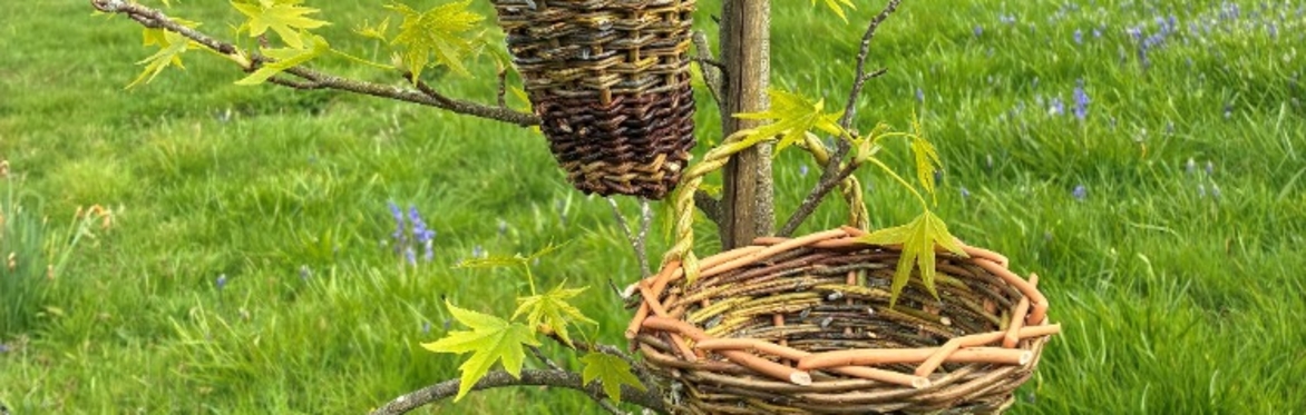 Weave a Willow Garlic Basket