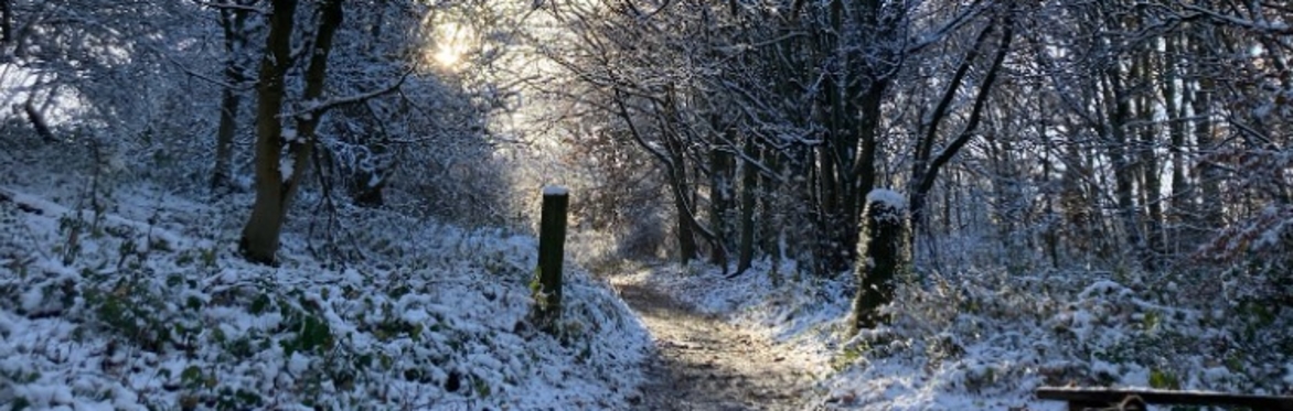 Winter Wellbeing Walk