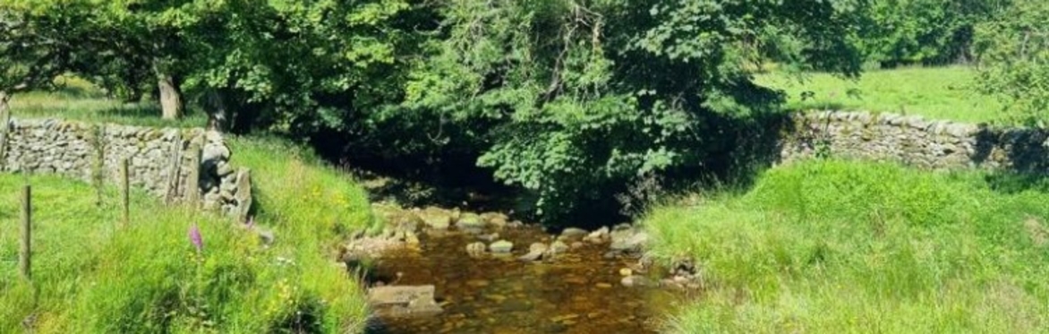 Abbeystead Spring Walk