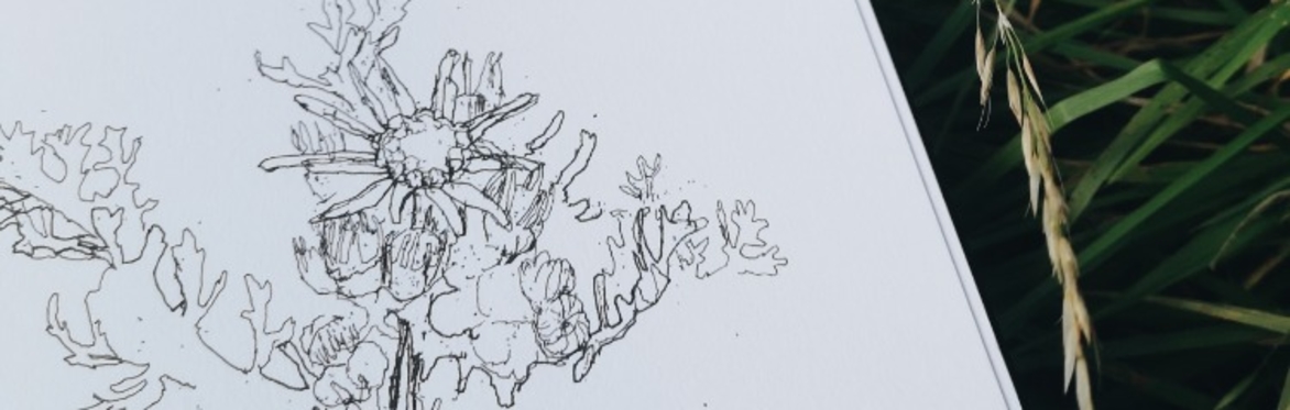 Outdoor drawing workshop with Anna Chapman Parker