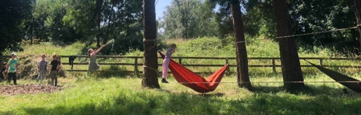 Forest School: Skills, Nature & Adventure - Gaelscoil, Chill Dara  C-PGFS-GN-26