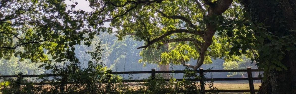Under the Oaks: A Mother–Daughter Retreat to Connect, Play & Care for Ourselves