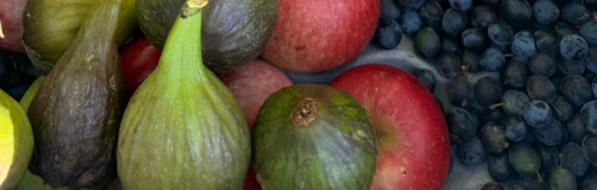 Autumn fermented Chutney workshop (working with everything the season offers from wild to cultivated)