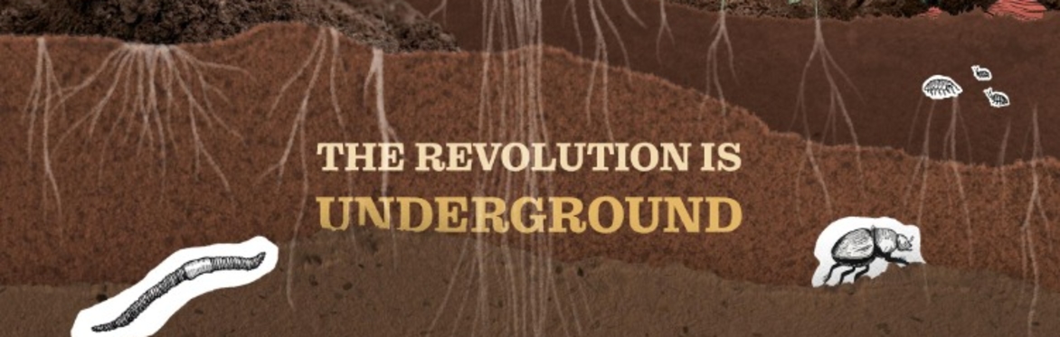 TALK | 6 INCHES OF SOIL Standing up against an industrial food system.