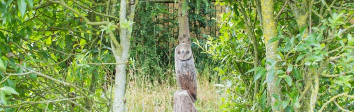 Conservation Day – Woodland Work