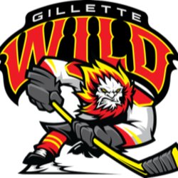 Vs Gillette Wild