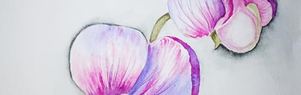Drawing & Painting Workshops - Watercolour Painting