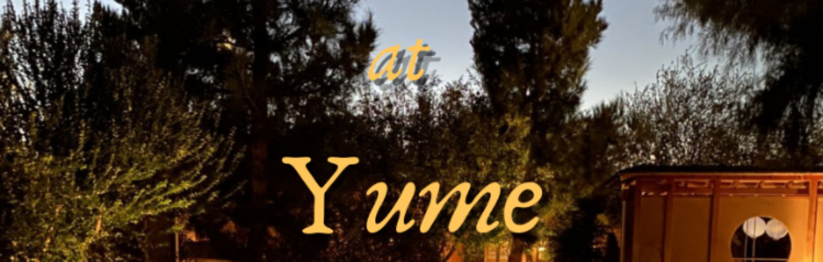 Evenings at Yume