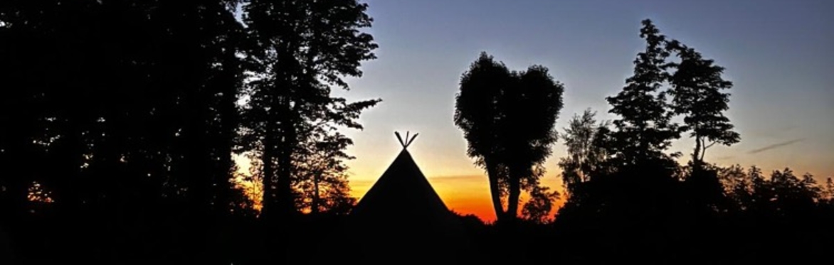 Sunset in Halkyn Castle Wood