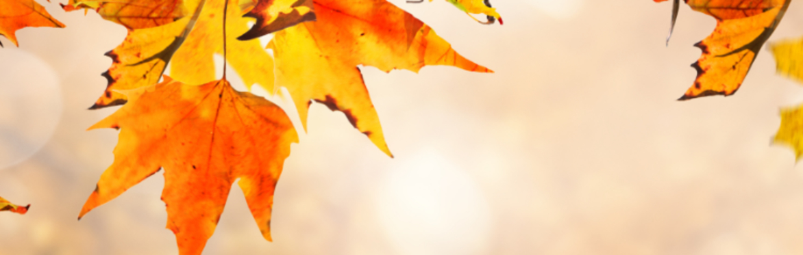 Autumn's Arrival - Afternoon Tea at Calgo Gardens