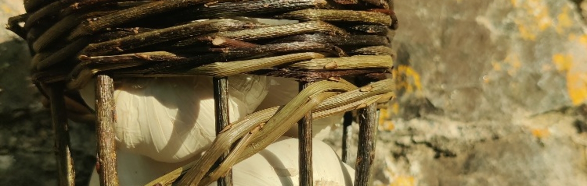 The Berry Picker Basket