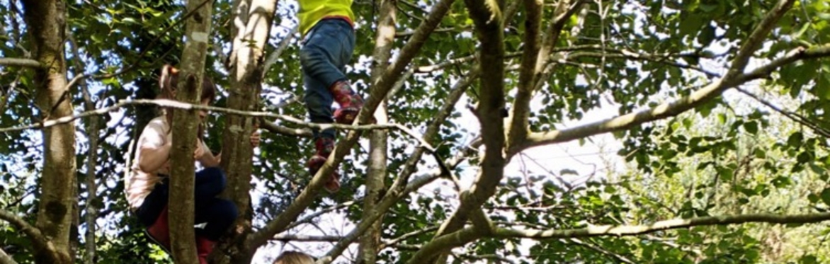 Sneem Summer Festival - Forest School Experience