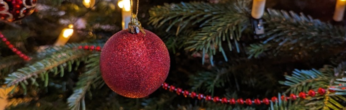 WORKSHOPS: Christmas Wreath-Dressing
